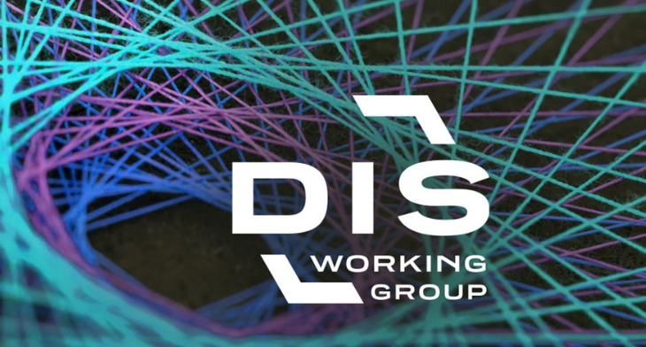 The Digital Interface Standards Working Group (DIS)