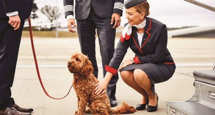 VistaJet has expanded its comprehensive VistaPet program as it continues to see a rise in the number of animals onboard.